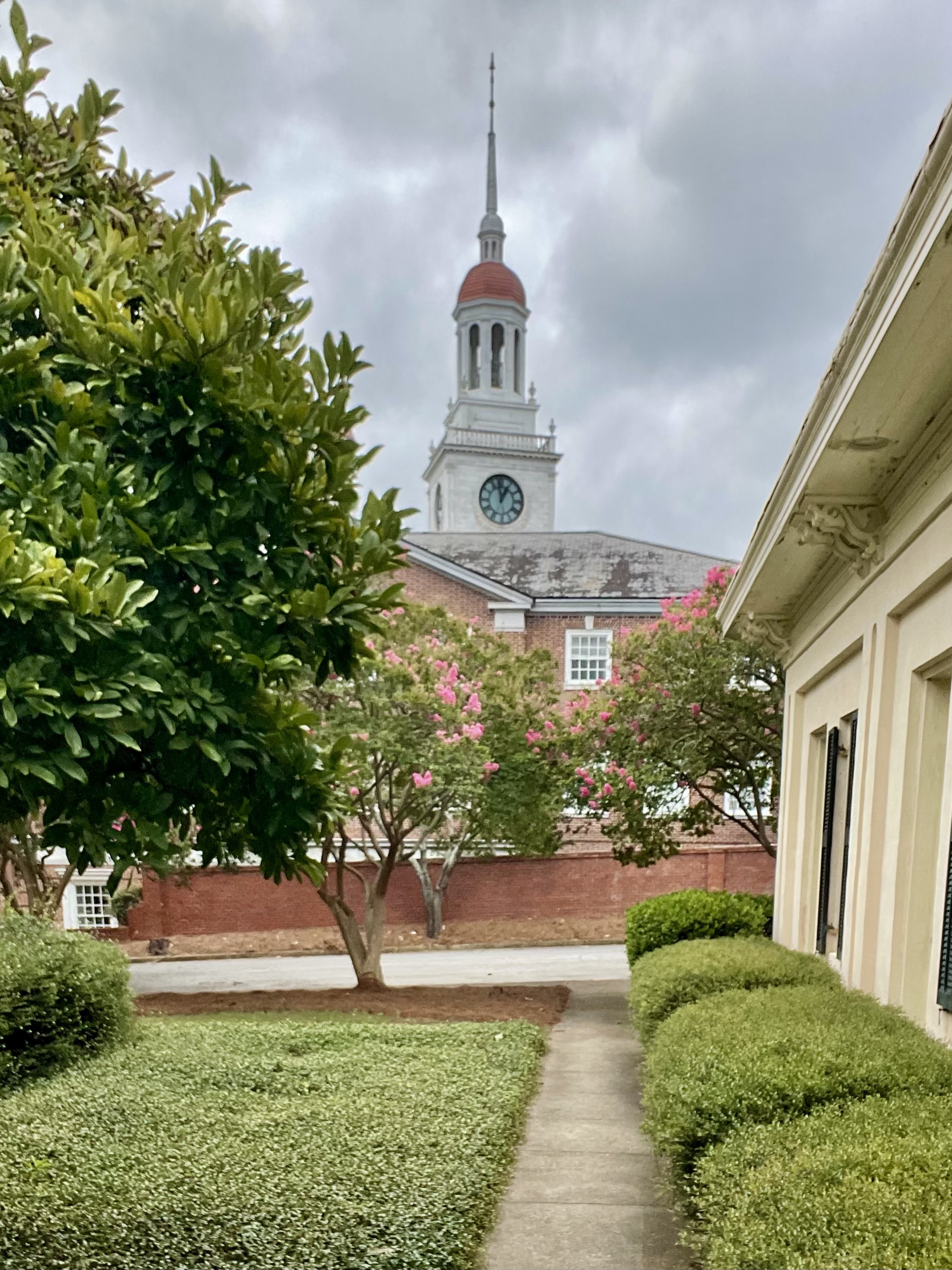 Your pathway from Bond Street to Mercer Law