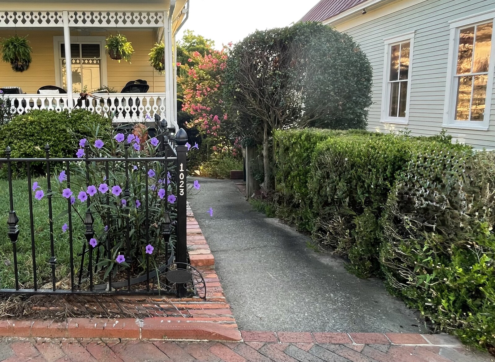 Walkway to 1023 apartment with address post and purple flowers, looking from Bond Street